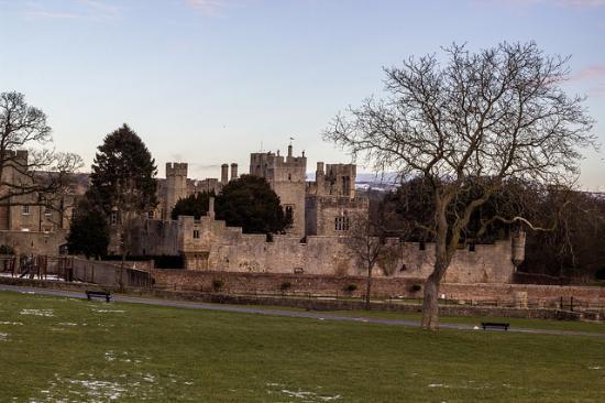 Witton Castle Country Park